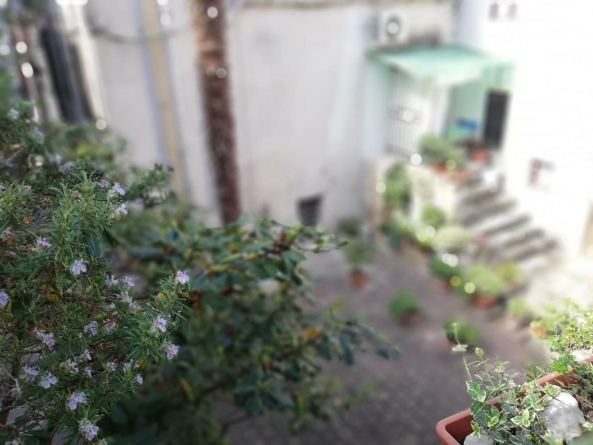 Apartment Centro Storico 피란 외부 사진