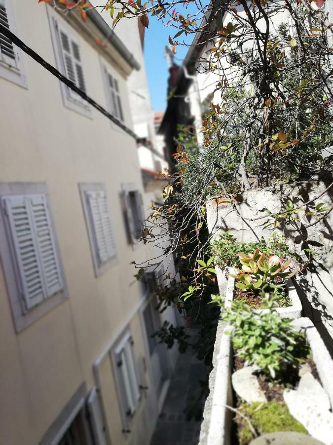 Apartment Centro Storico 피란 외부 사진